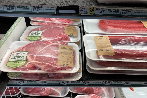 Fabricantes oferecem diversos recursos para o pequeno instalador - Notícia sobre refrigeração